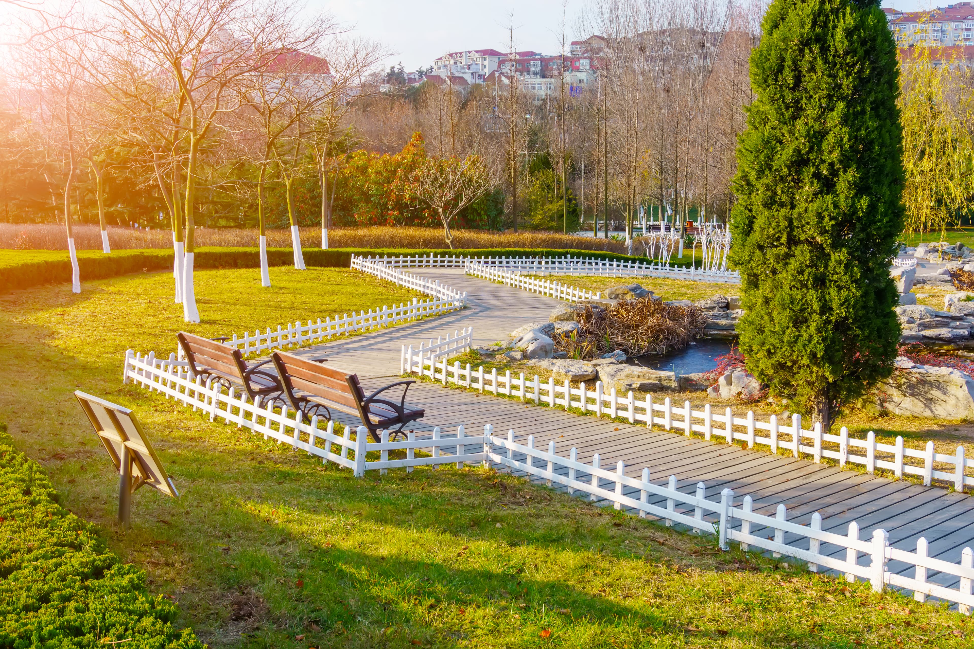 Landscape Design & Build