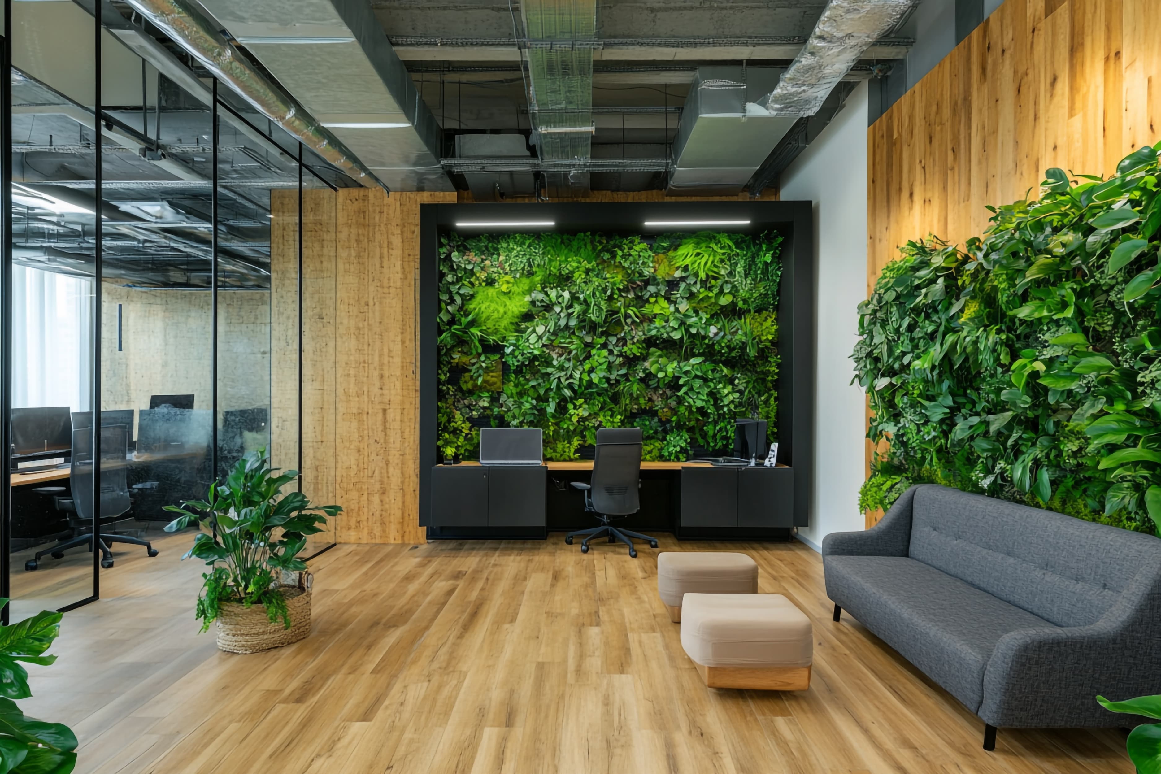 Office & Indoor Plants